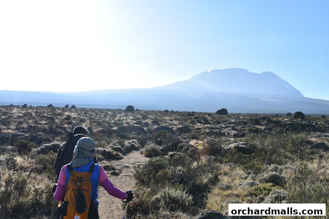 X-Trekkers Adventure