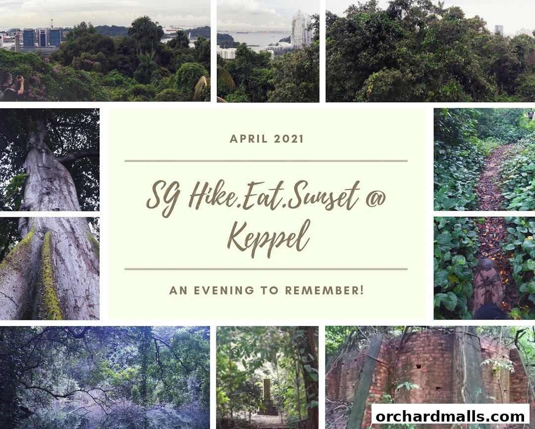 X-Trekkers Adventure