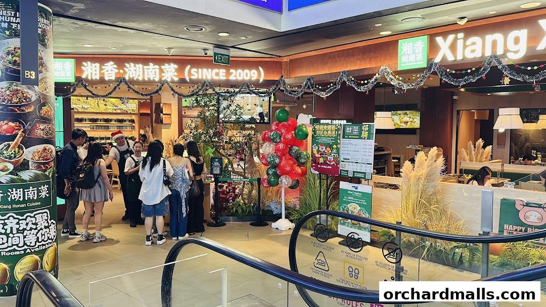 Xiang Xiang Hunan Cuisine 湘香湖南菜  313 Somerset