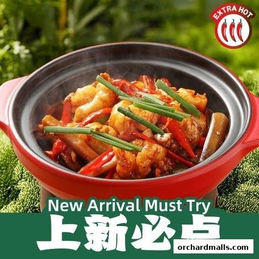 Xiang Xiang Hunan Cuisine 湘香湖南菜  313 Somerset