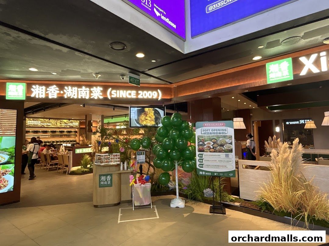 Xiang Xiang Hunan Cuisine 湘香湖南菜  313 Somerset