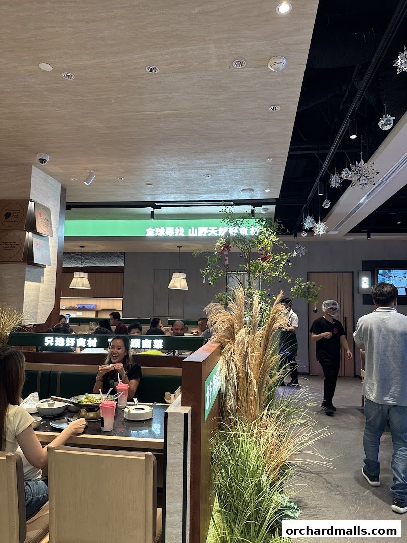 Xiang Xiang Hunan Cuisine 湘香湖南菜  313 Somerset