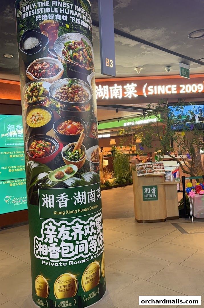 Xiang Xiang Hunan Cuisine 湘香湖南菜  313 Somerset