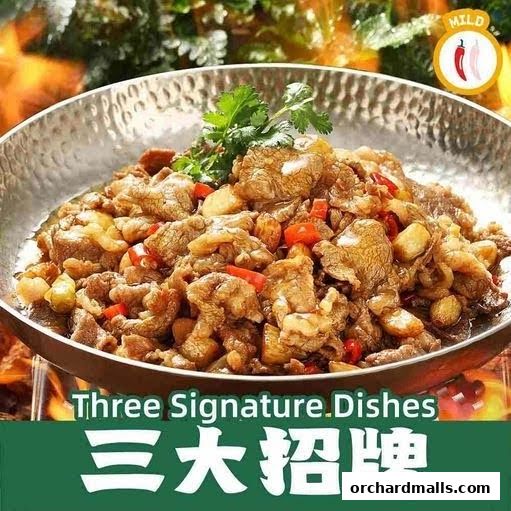 Xiang Xiang Hunan Cuisine 湘香湖南菜  313 Somerset