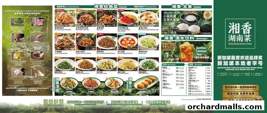 Xiang Xiang Hunan Cuisine 湘香湖南菜  313 Somerset