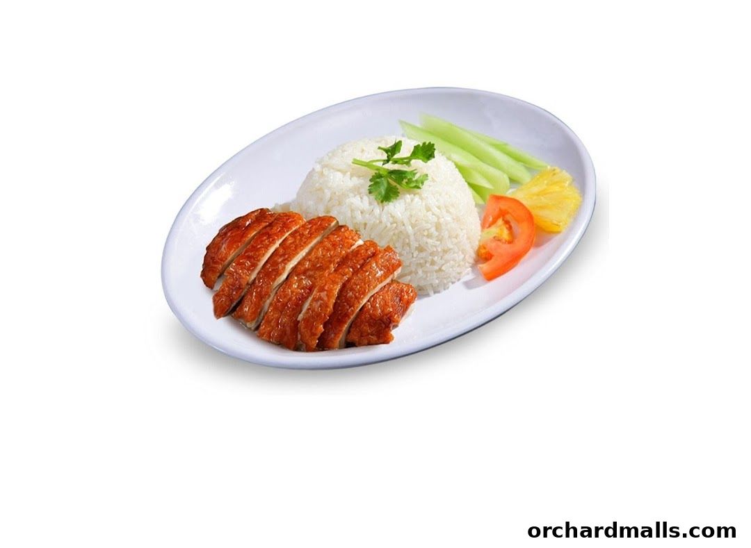 Xing Yun Hainanese Boneless Chicken Rice Tangs Market