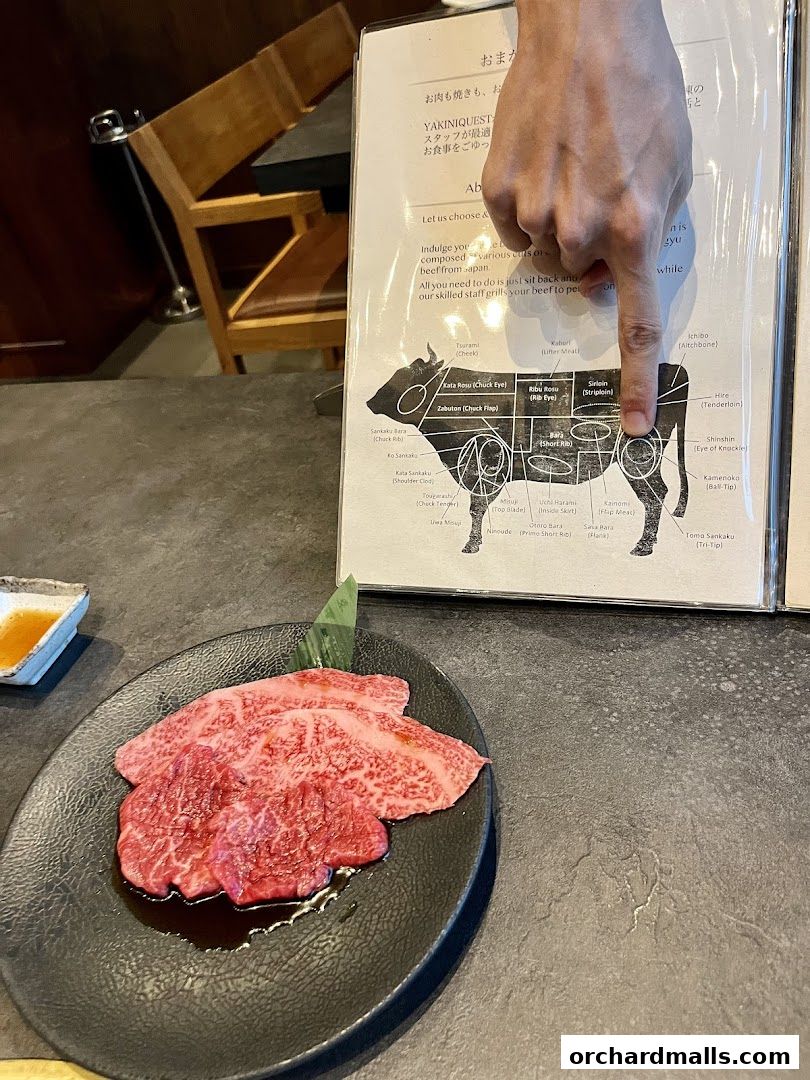 Menu page for Yakiniquest