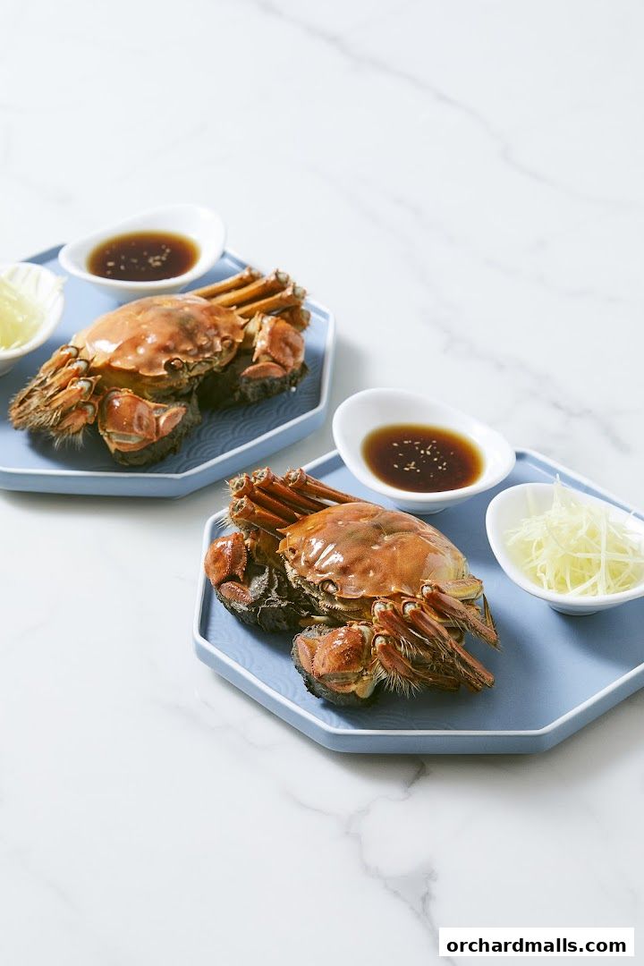 Yans Dining Fine Shanghai Cuisine 嬿青私房菜