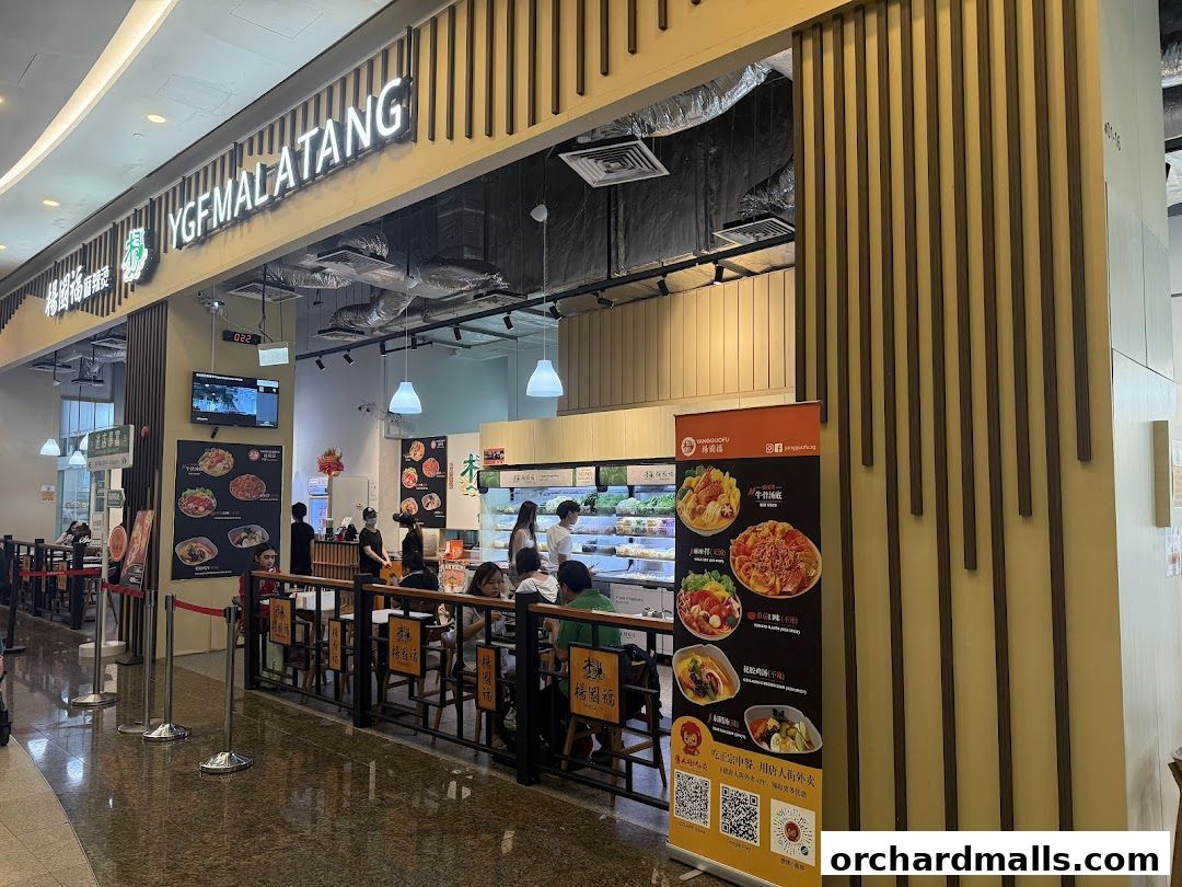 Yang Guo Fu Mala Tang 杨国福麻辣烫