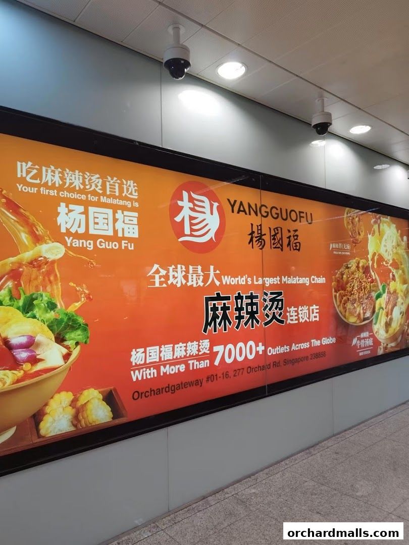 Yang Guo Fu Mala Tang 杨国福麻辣烫