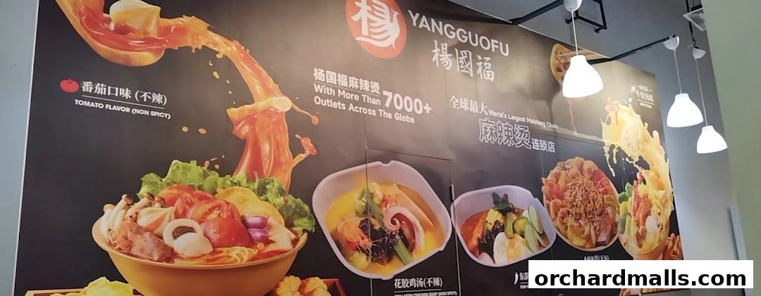 Yang Guo Fu Mala Tang 杨国福麻辣烫