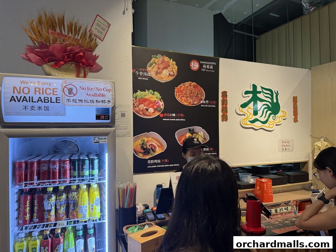 Yang Guo Fu Mala Tang 杨国福麻辣烫