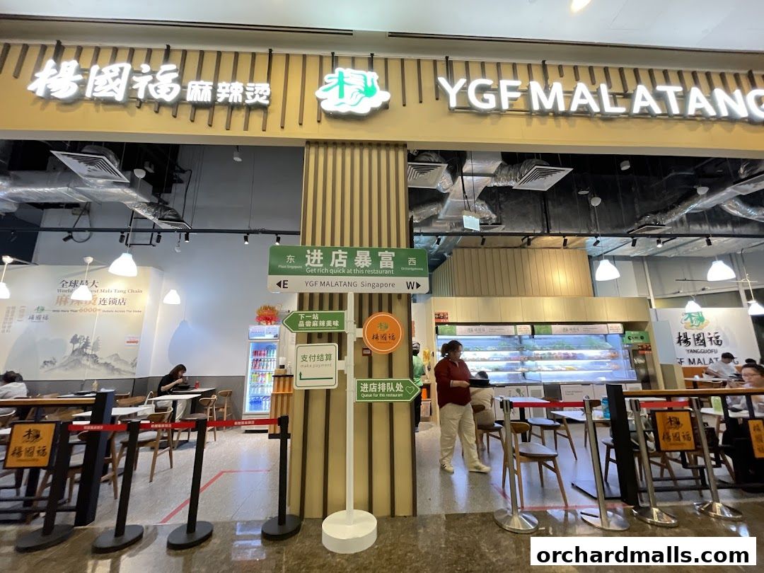 Yang Guo Fu Mala Tang 杨国福麻辣烫