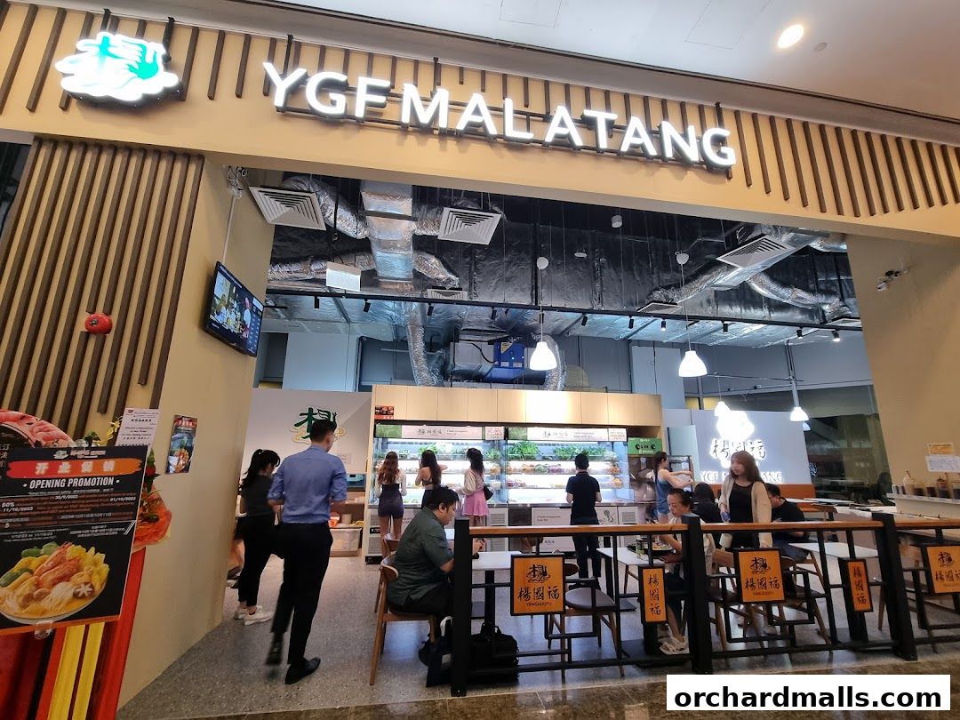 Yang Guo Fu Mala Tang 杨国福麻辣烫