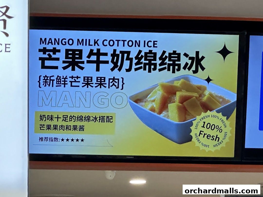 Yang Xiao Xian Mango Milk Ice 杨小贤 芒果绵绵冰