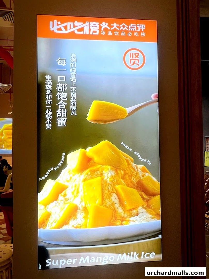 Yang Xiao Xian Mango Milk Ice 杨小贤 芒果绵绵冰