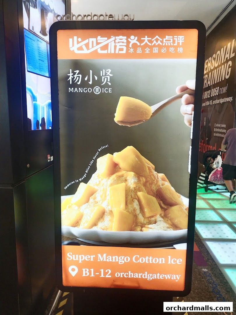 Yang Xiao Xian Mango Milk Ice 杨小贤 芒果绵绵冰