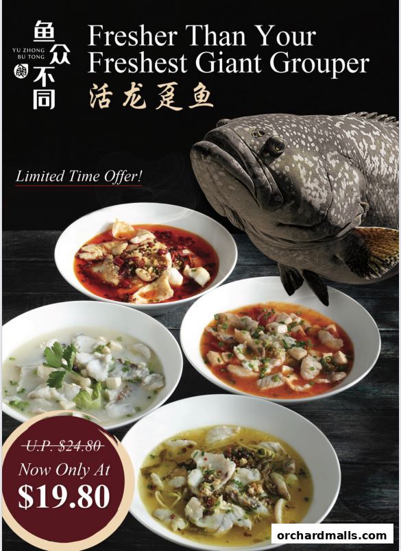 鱼众不同 Yu Zhong Bu Tong