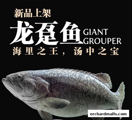 鱼众不同 Yu Zhong Bu Tong