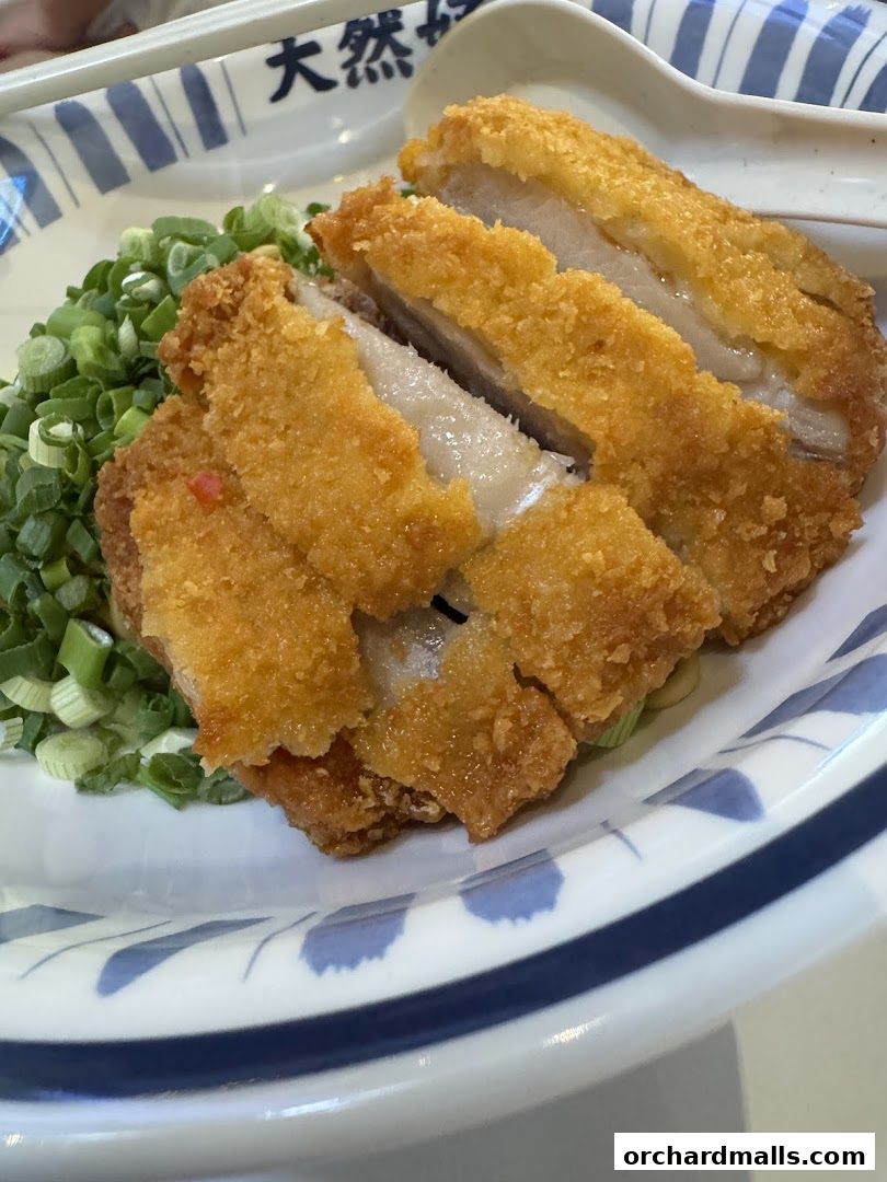 Yuan Ji Chicken Rice