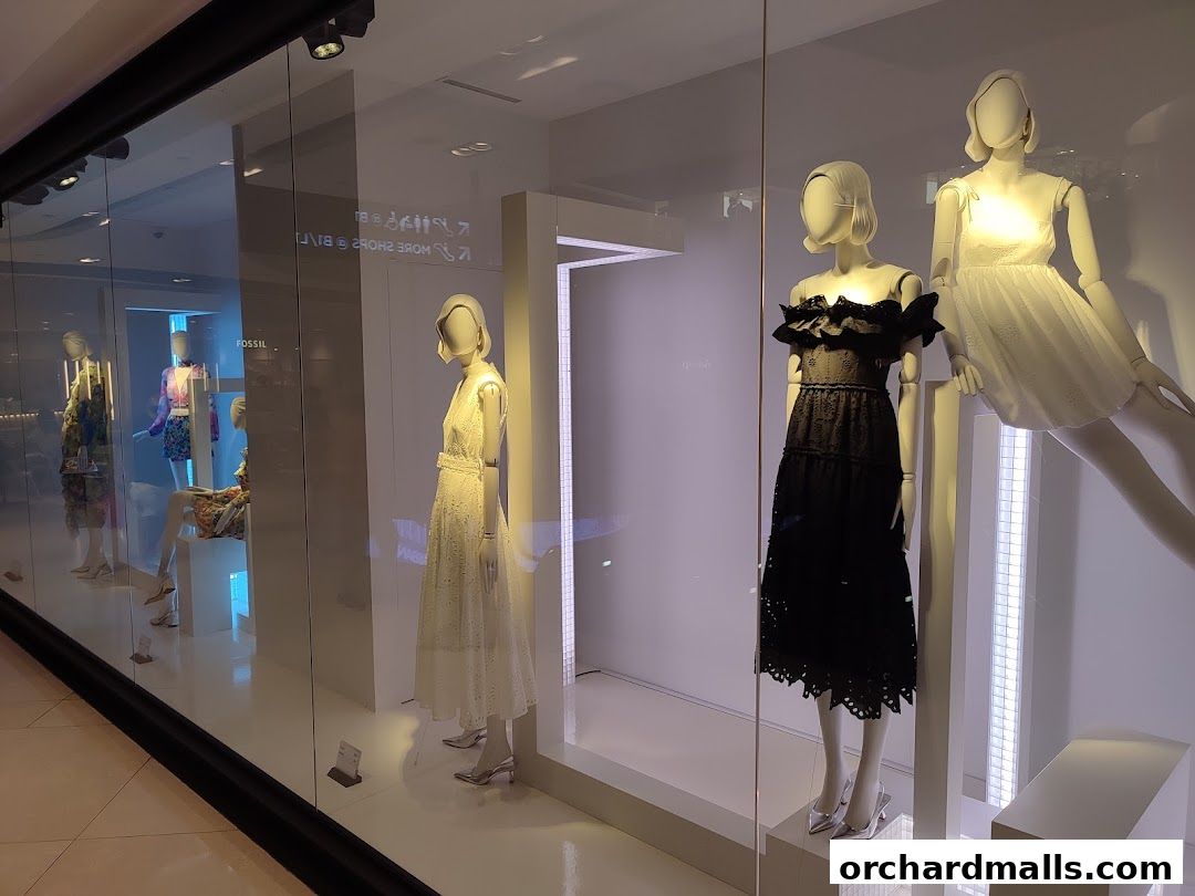Mannequins display elegant dresses in a modern shop window.