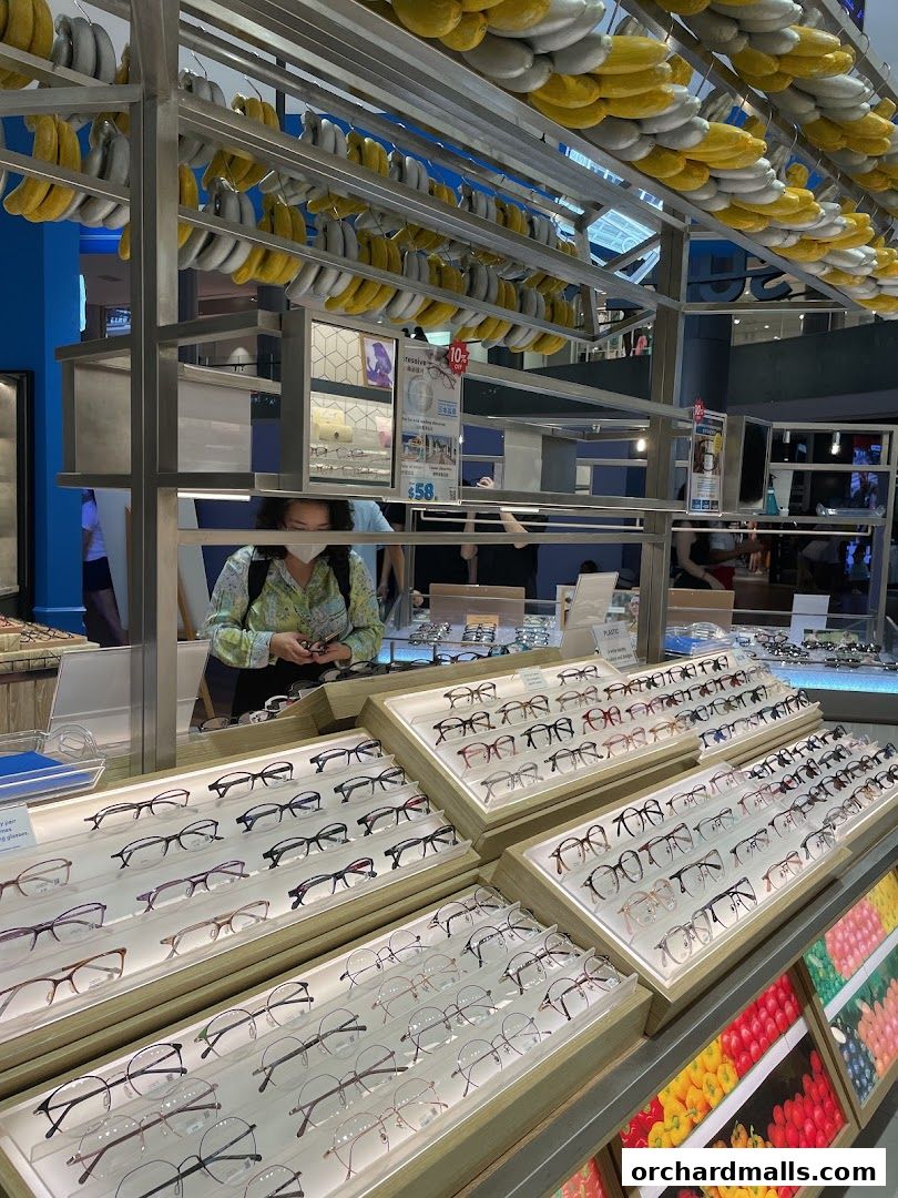 A wide selection of eyeglasses displayed on shelves in a modern optical shop.